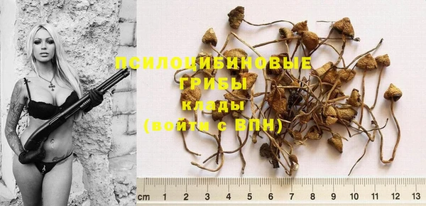 каннабис Магас